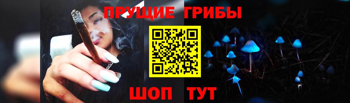 Красноярск  Галлюциногенные грибы Psilocybe  Вход с VPN 