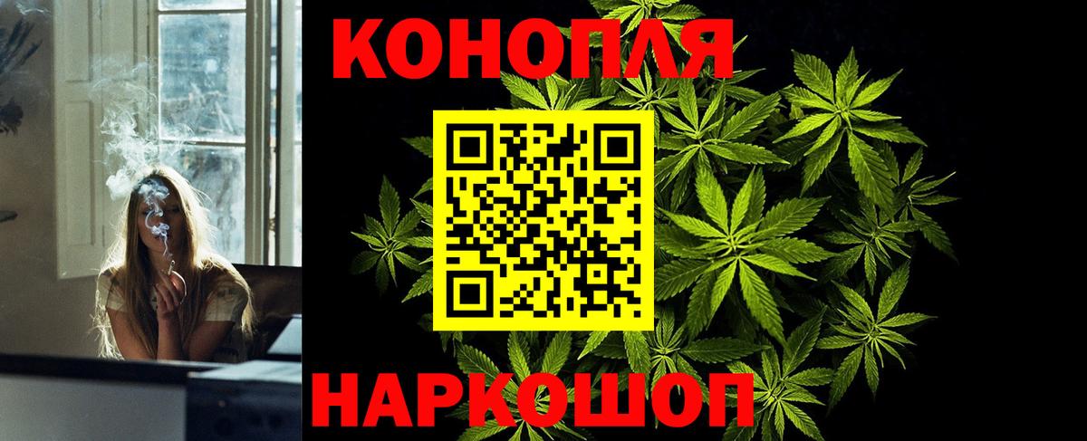 Бошки Шишки сатива Красноярск
